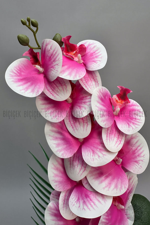 Yapay Phalaenopsis Pembe Orkide 60 Cm