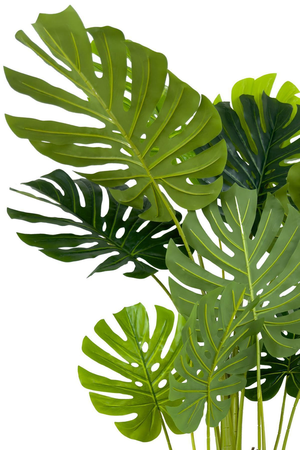 Yapay Monstera Ağacı Deve Tabani 150 Cm Su Sümbülü Hasir Saksıda