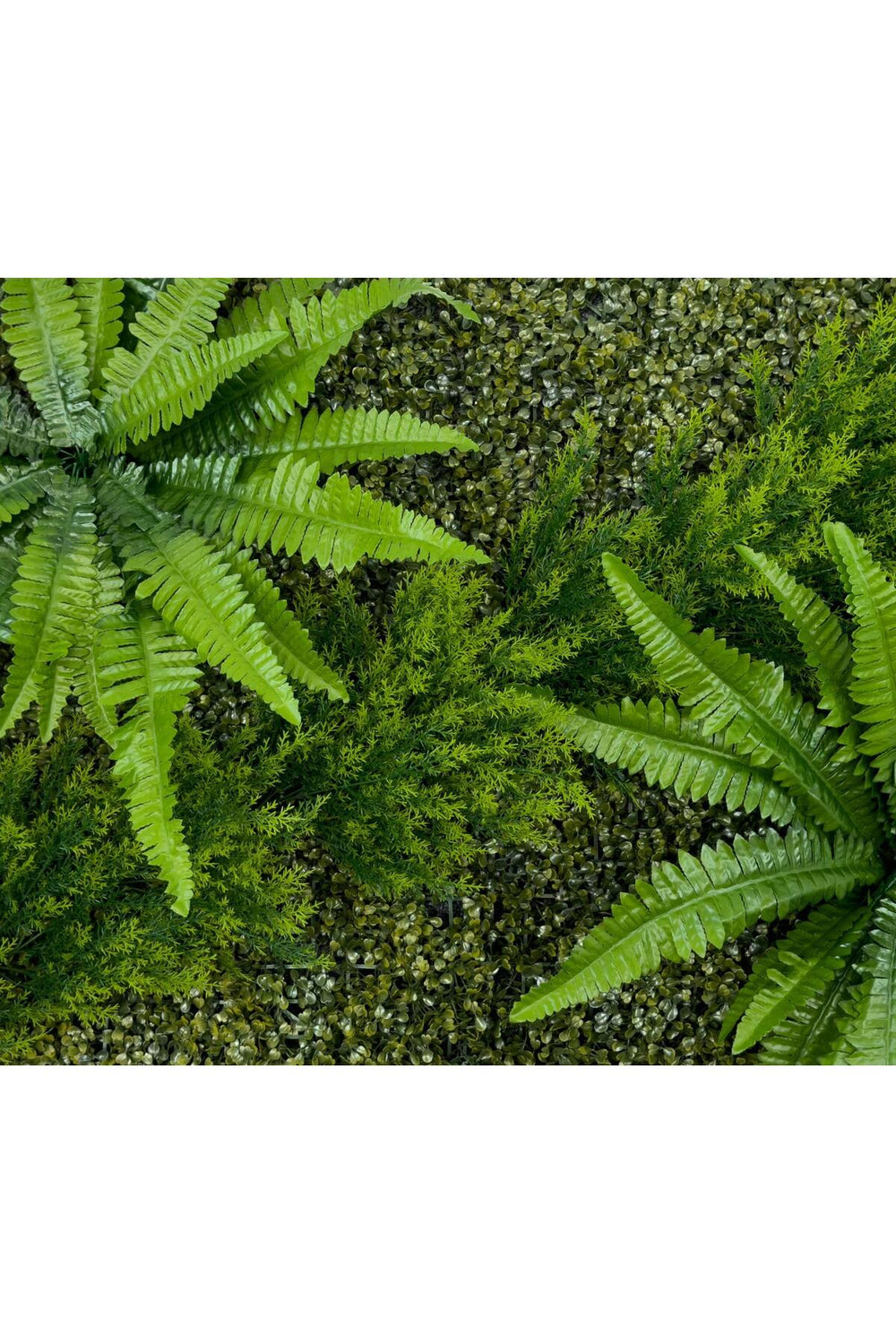 Dikey Bahçe Duvar Paneli 120x80cm Model21