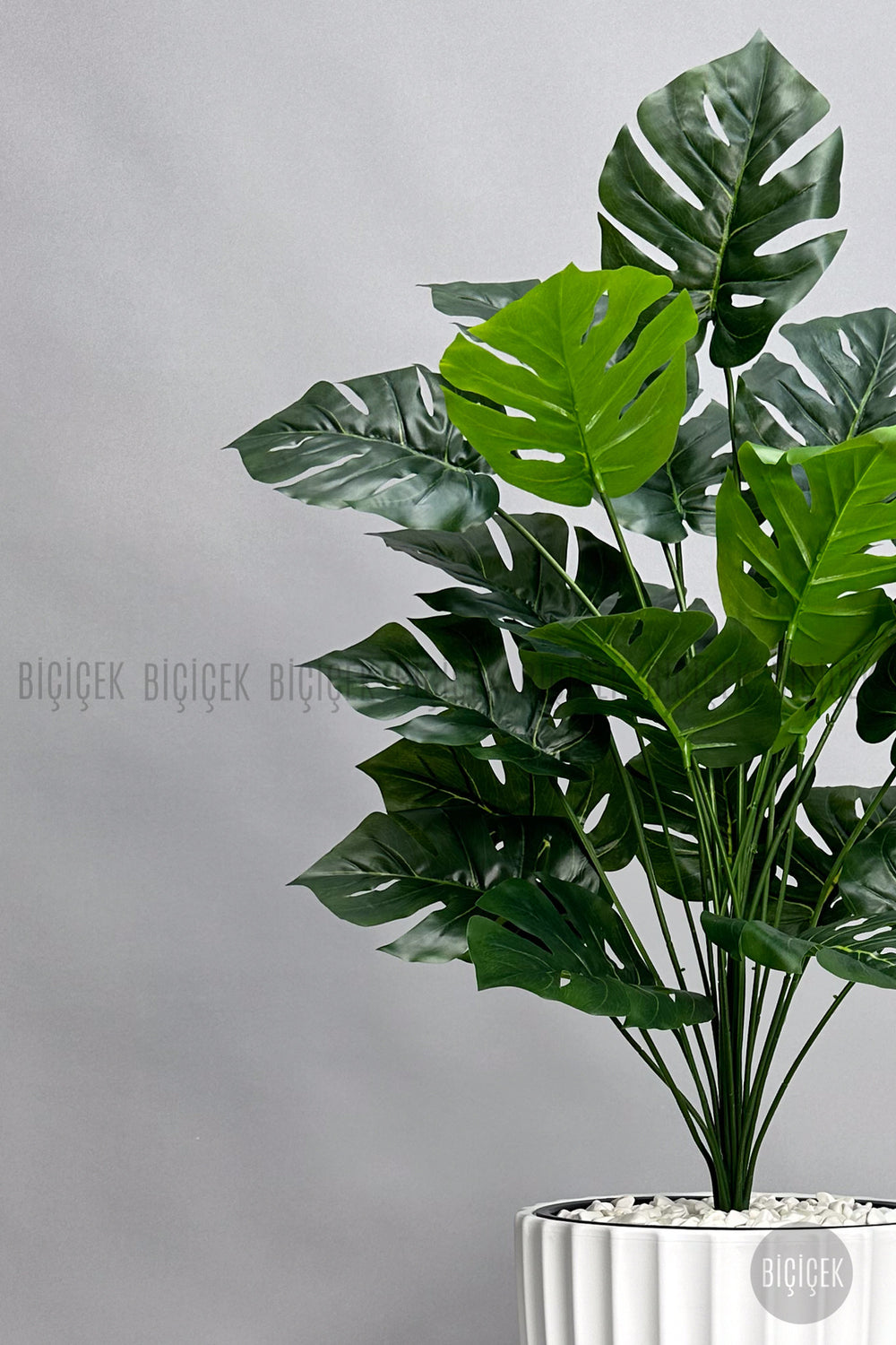 Yapay Monstera Deve Tabani Bitkisi 130 Cm Beyaz Lilyum Saksıda