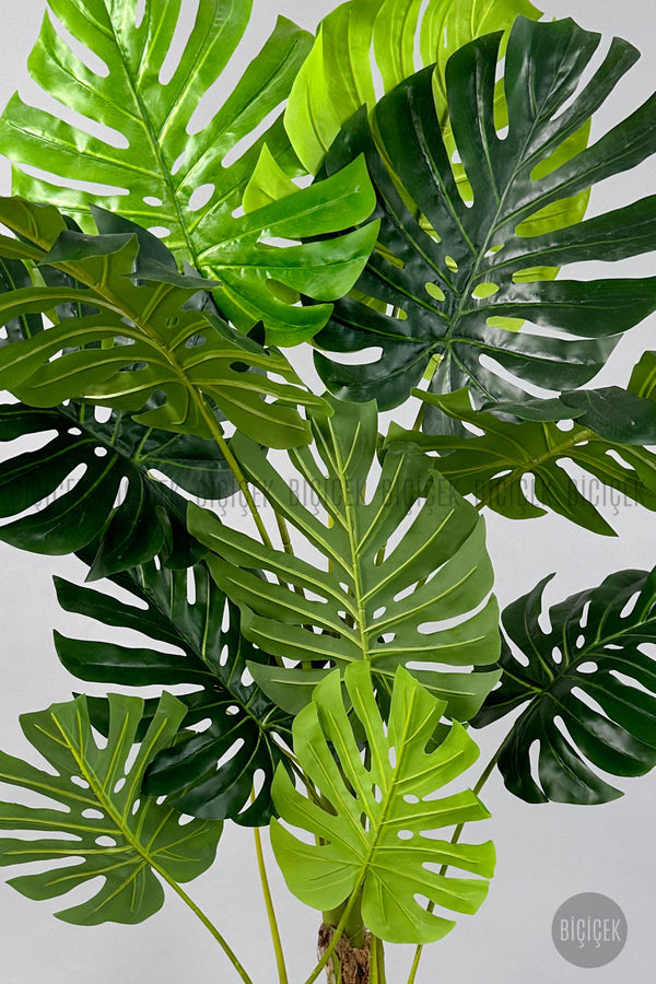 Yapay Monstera Ağacı Deve Tabani 160 Cm Mocha Vega Saksıda
