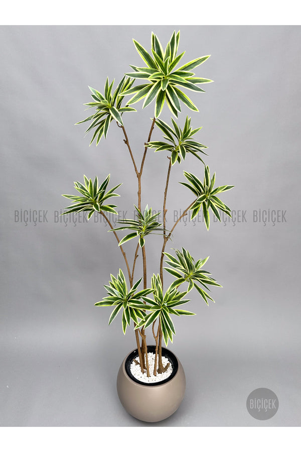 Yapay Dragon Bi̇tki̇si̇ 160 Cm Antresi̇t Mocha Saksıda Alaca Yaprak