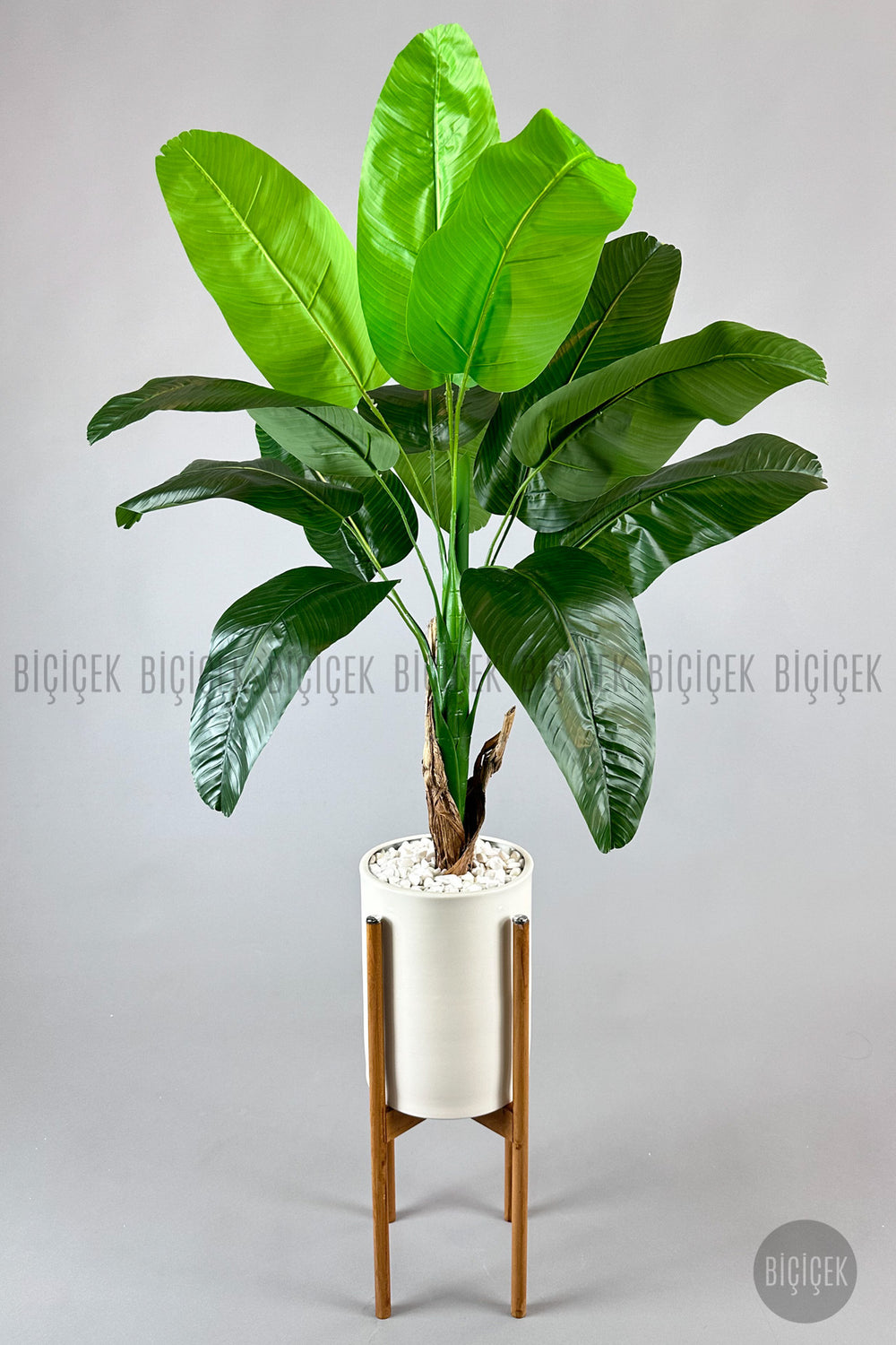 Yapay Muz Ağaci 125 Cm Ayakli Krem Metal Saksıda