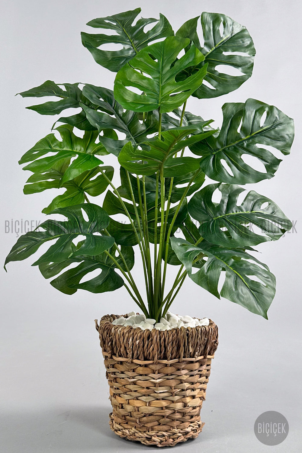 Yapay Monstera Deve Tabani 65 Cm Demir Destekli Kulpsuz Hasir Saksıda