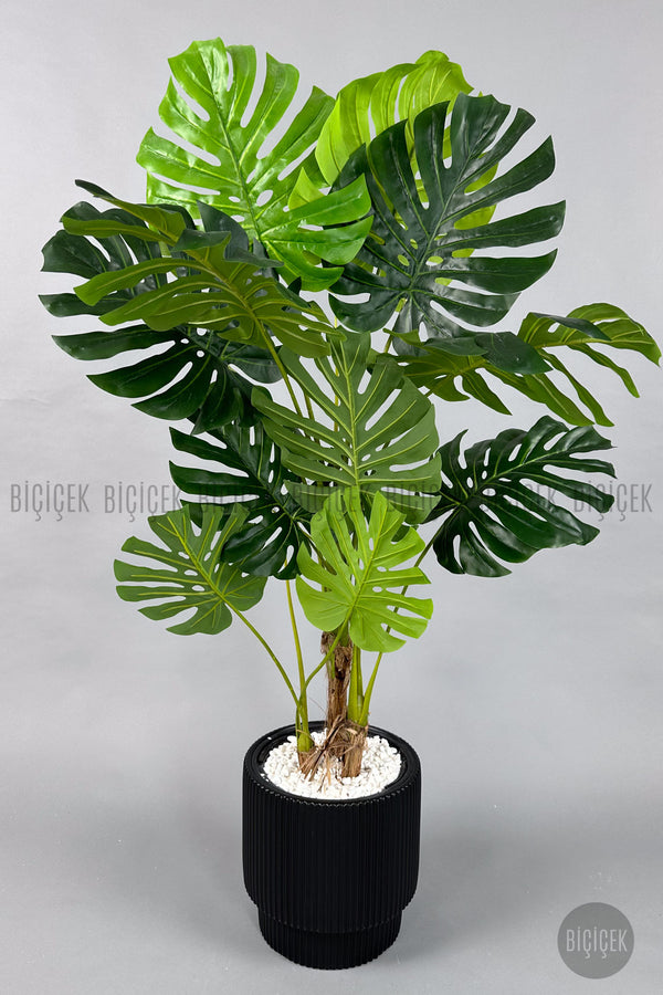 Yapay Monstera Ağacı Deve Tabani 160 Cm Si̇yah Vega Saksıda