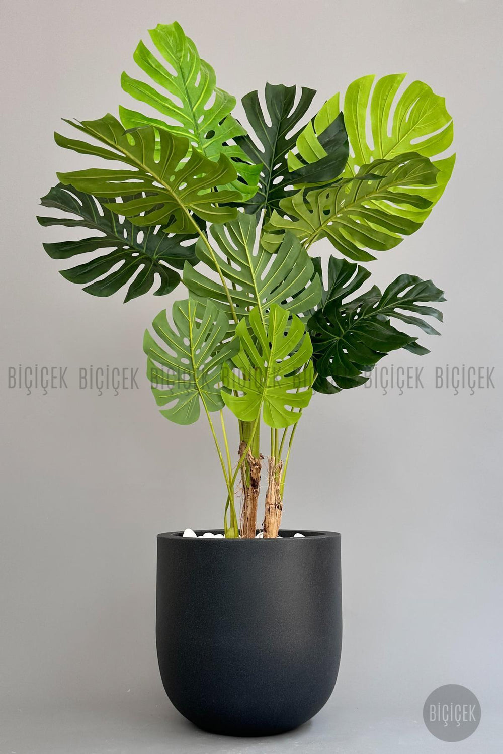 Yapay Monstera Ağacı Deve Tabani 180 Cm Antresit Çeşme Saksıda