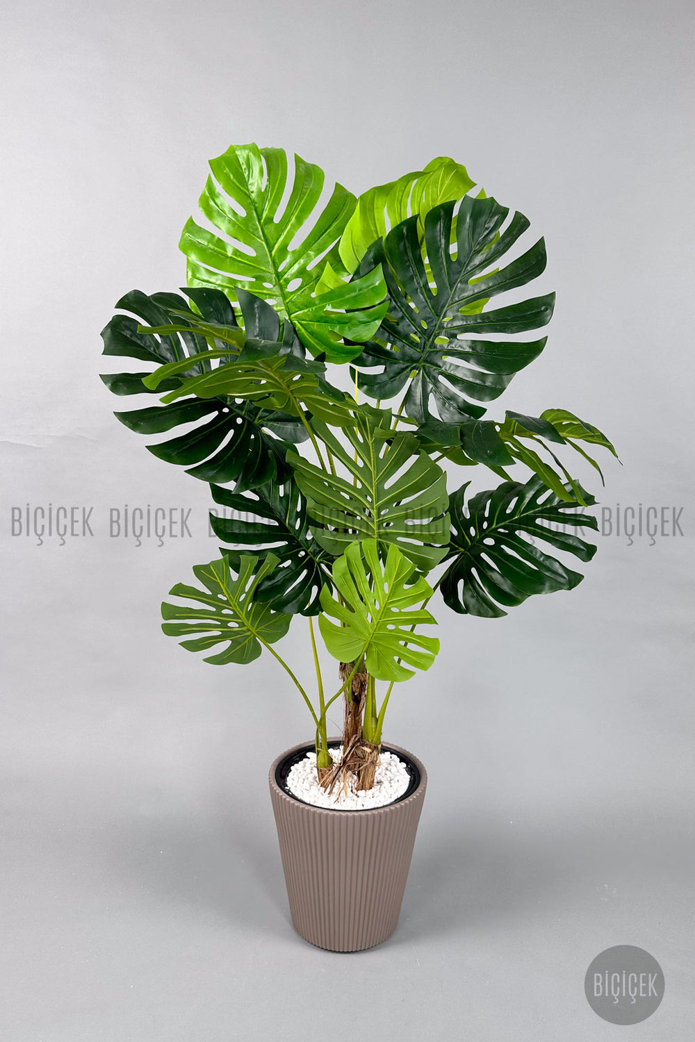 Yapay Monstera Ağacı Deve Tabani 160 Cm Mocha Luna Saksıda