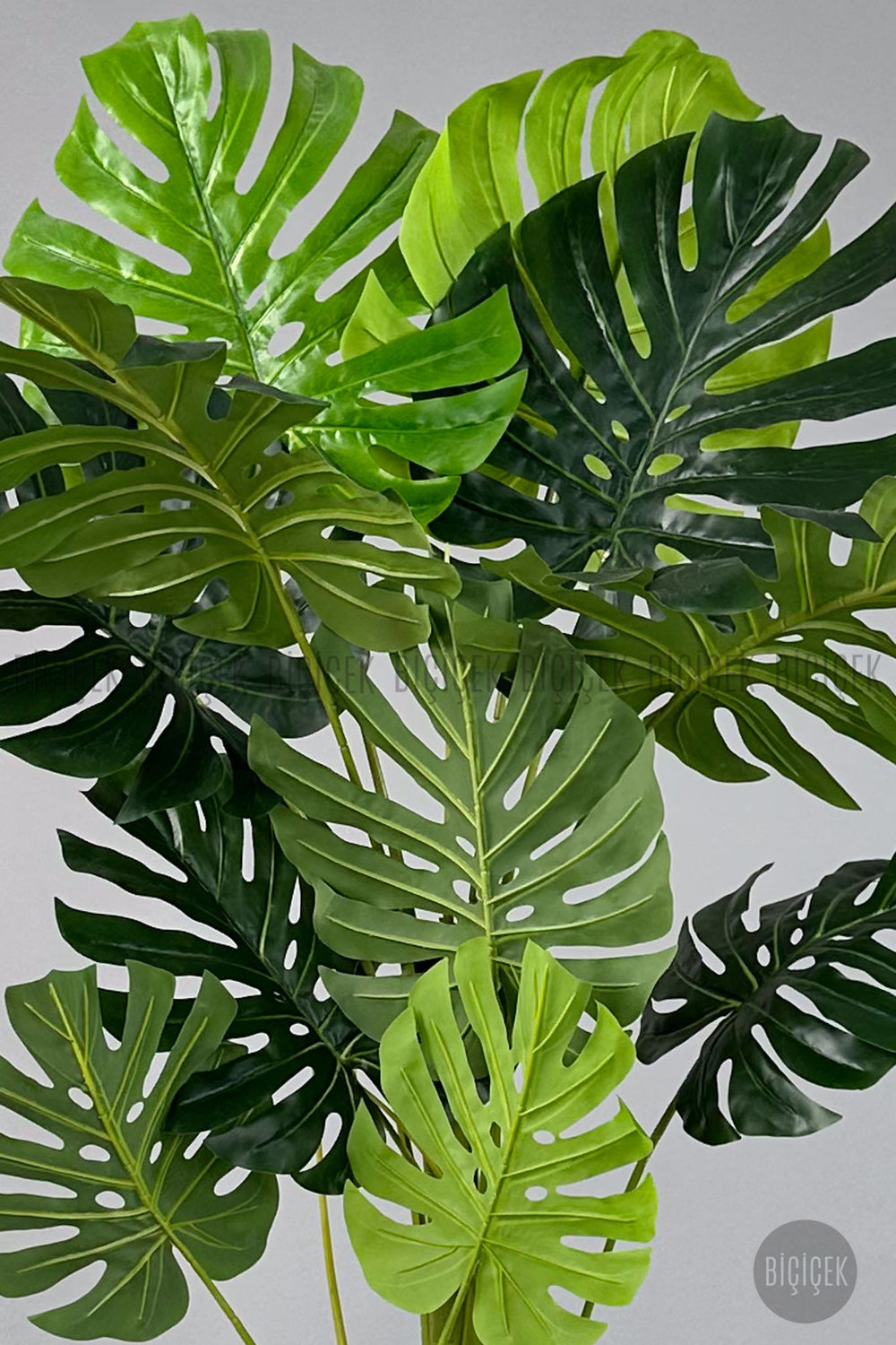 Yapay Monstera Ağacı Deve Tabani 200 Cm Beyaz Lilyum Saksıda