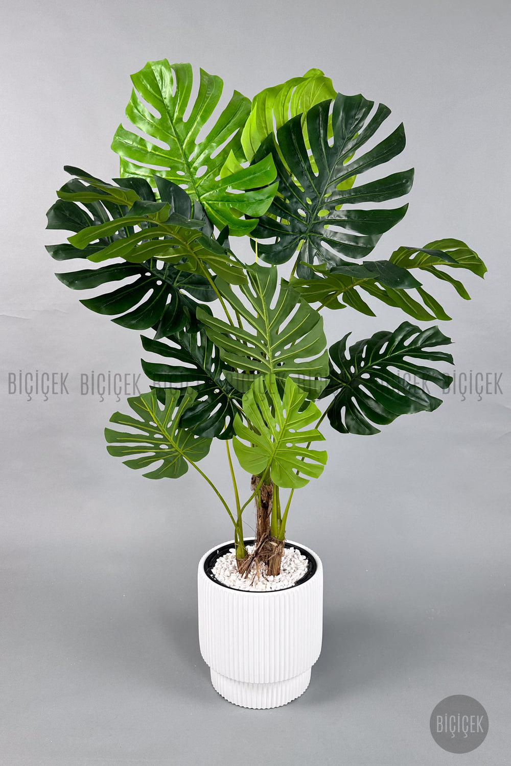 Yapay Monstera Ağacı Deve Tabani 160 Cm Vega Saksıda