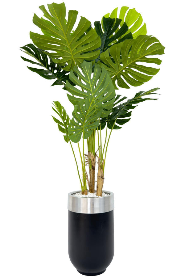 Yapay Monstera Ağacı Deve Tabani 170 Cm Si̇yah Gümüş Darbuka Saksıda