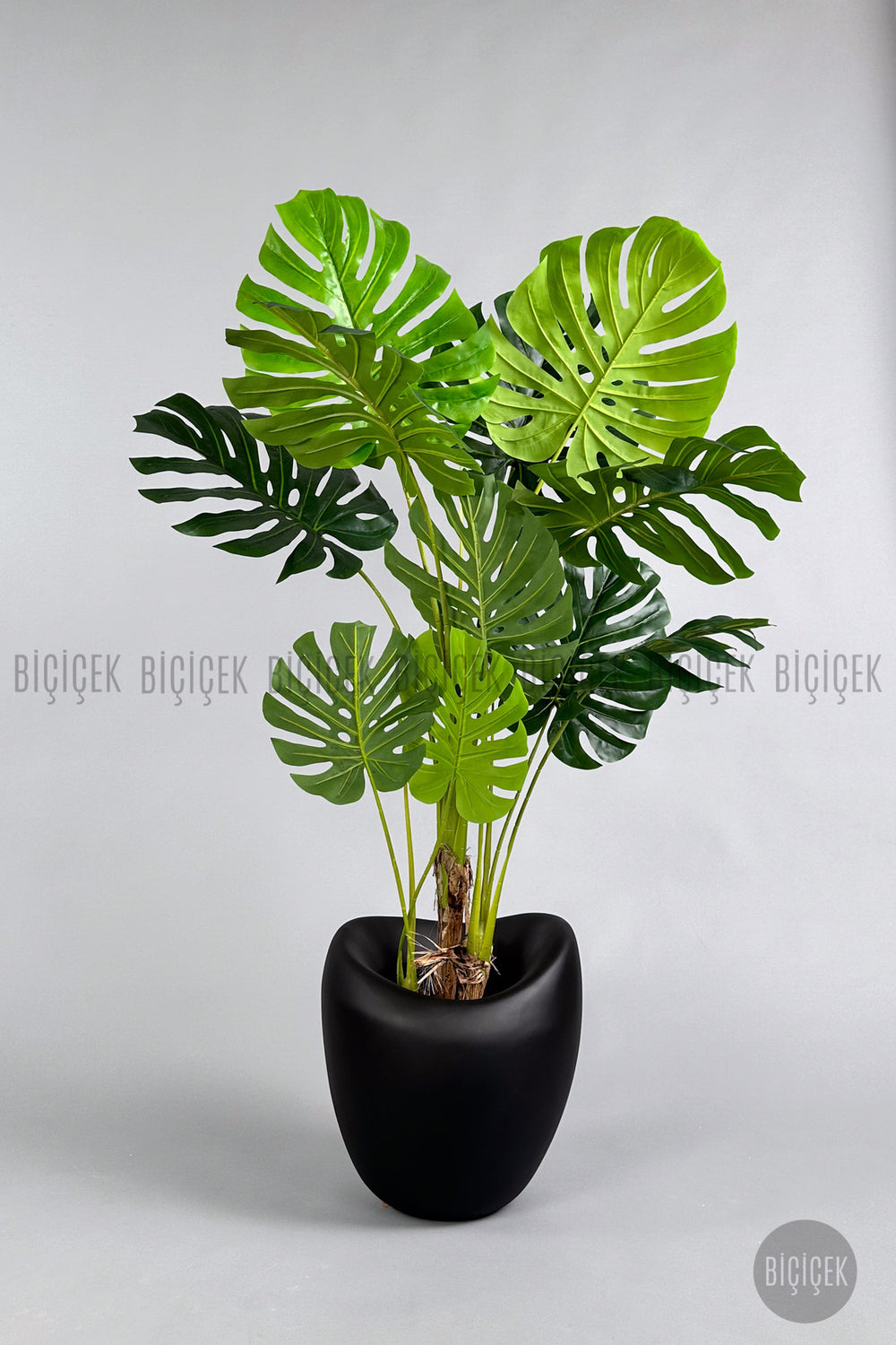 Yapay Monstera Ağacı Deve Tabani 170 Cm Mocha Lale Saksıda