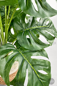 Yapay Monstera Deve Tabani 65 Cm Hasir Saksıda