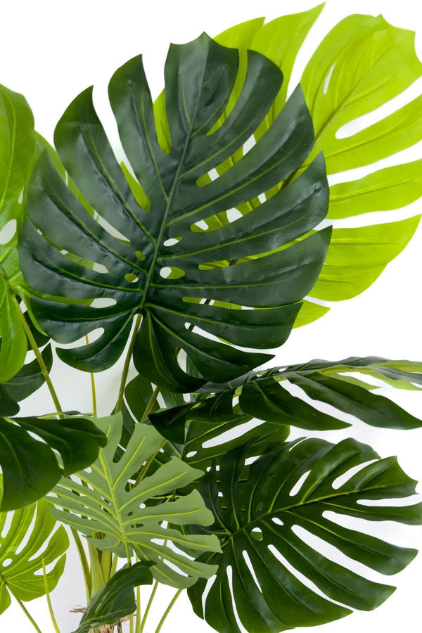 Yapay Monstera Ağacı Deve Tabani 150 Cm Geoit Hasir Saksıda