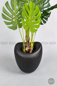 Yapay Monstera Ağacı Deve Tabani 170 Cm Mocha Lale Saksıda