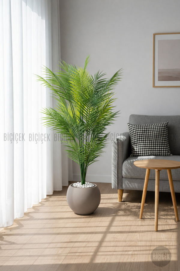 Areka Ağaci 24 Yapraklı 130 Cm Mocha Küre Saksıda