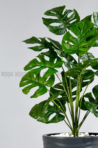 Yapay Monstera Deve Tabani Bi̇tki̇si̇ 130 Cm Antresi̇t Kumsal Saksıda