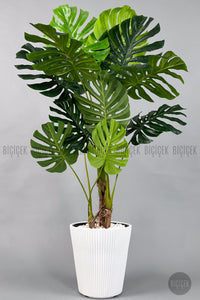 Yapay Monstera Ağacı Deve Tabani 160 Cm Luna Saksıda