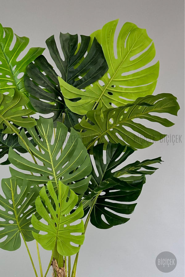 Yapay Monstera Ağacı Deve Tabani 190 Cm Antresit Datça Saksıda