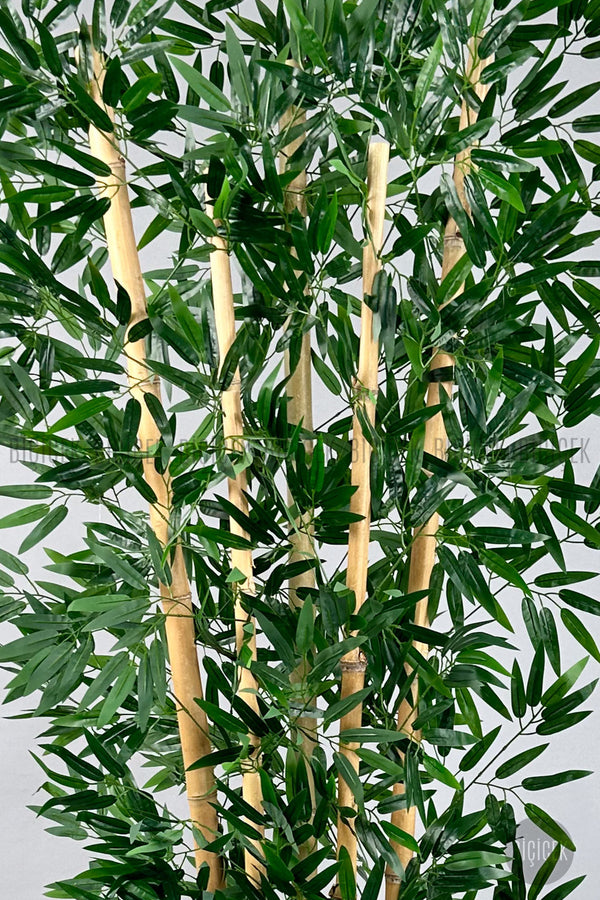 Zen Bambu Ağacı 240 Cm Antresit Bone Saksıda
