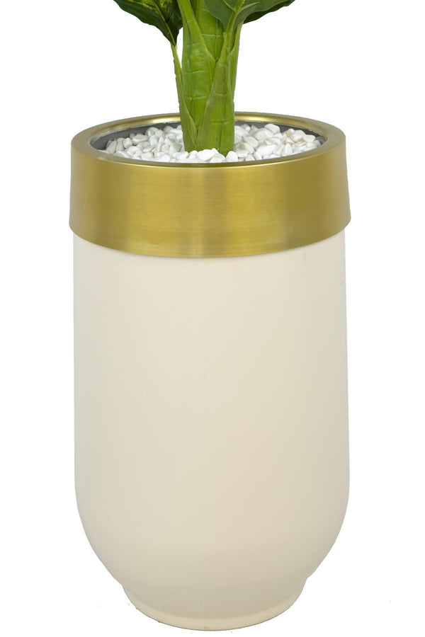 Yapay Di̇fenbahya 180 Cm Krem Gold Darbuka Saksıda