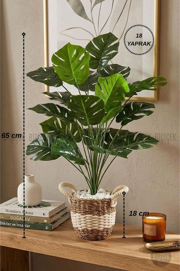 Yapay Monstera Deve Tabani Bitkisi 60 Cm Krem Orgulu Hasir Saksıda