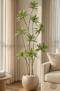 Yapay Dragon Bi̇tki̇si̇ 160 Cm Antresi̇t Mocha Saksıda