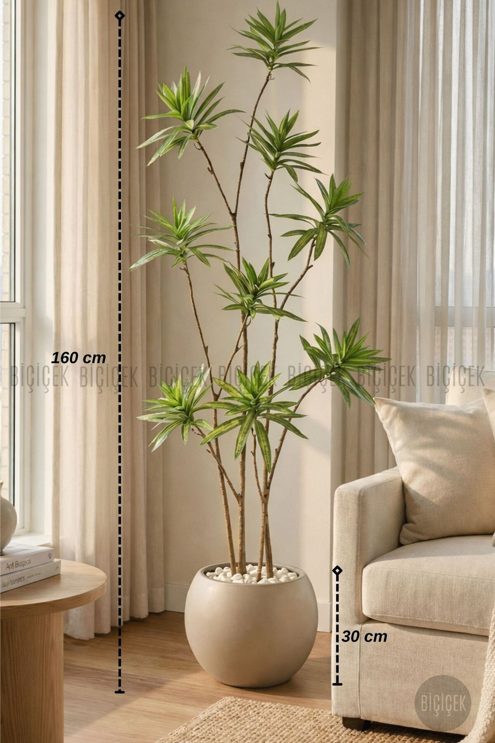 Yapay Dragon Bi̇tki̇si̇ 160 Cm Antresi̇t Mocha Saksıda