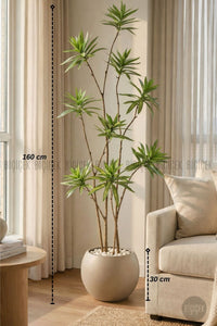 Yapay Dragon Bi̇tki̇si̇ 160 Cm Antresi̇t Mocha Saksıda