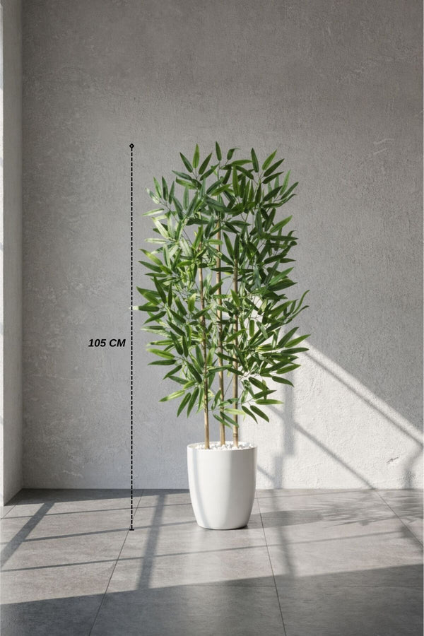 110 Cm Bambu Ağacı Yakut Saksıda