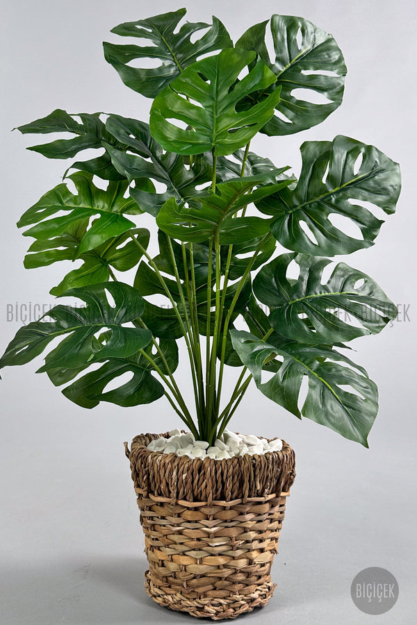 Yapay Monstera Deve Tabani 65 Cm Demir Destekli Kulpsuz Hasir Saksıda