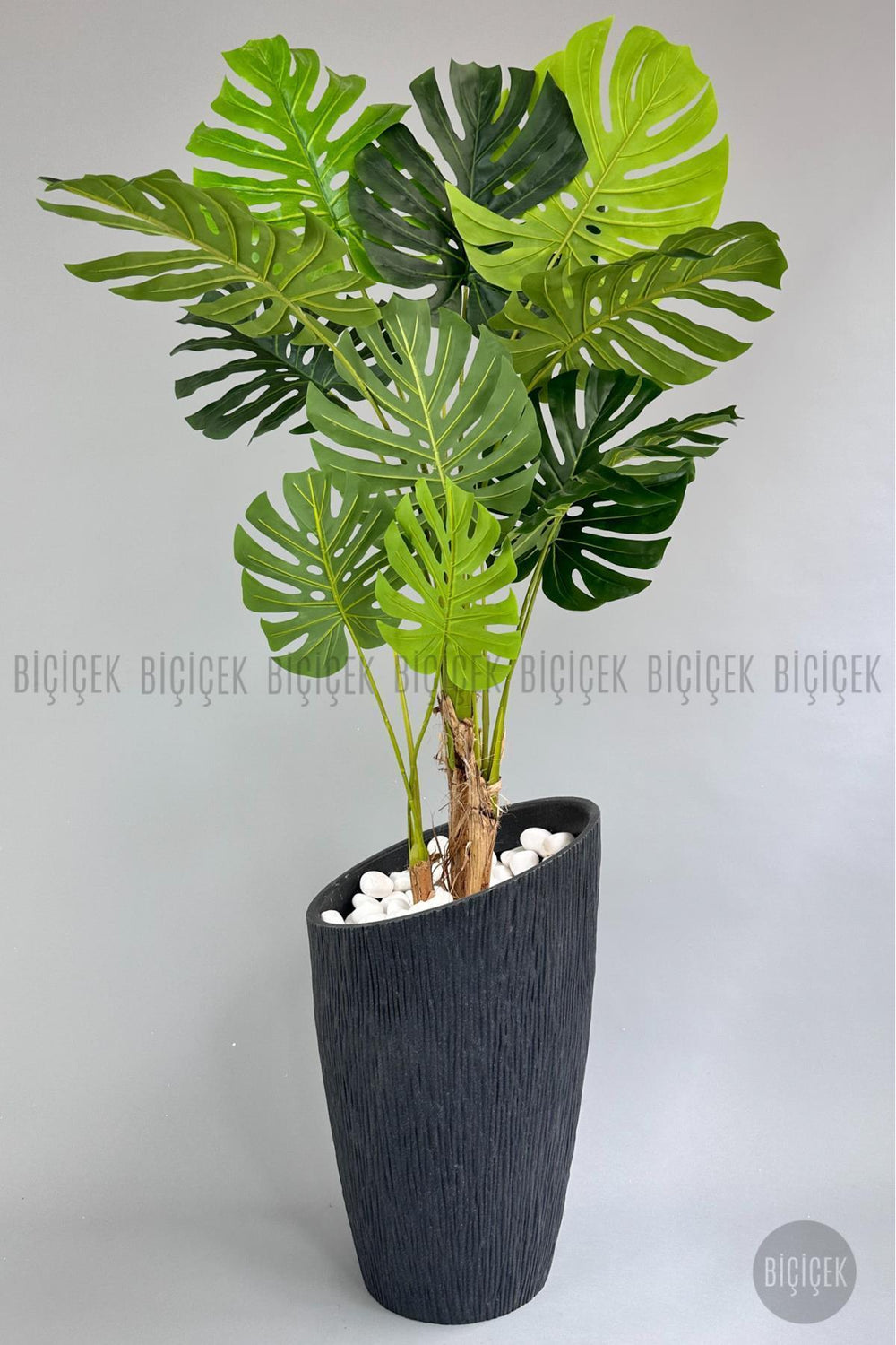 Yapay Monstera Ağacı Deve Tabani 190 Cm Antresit Datça Saksıda
