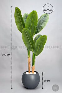 Yapay Starli̇ce 160 Cm 7 Yapraklı Antresi̇t Küre Saksıda