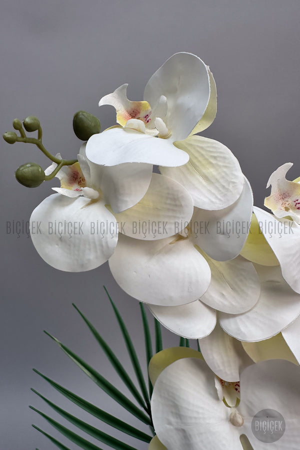Yapay Phalaenopsis Beyaz Orkide 60 Cm