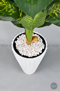 Yapay Difenbahya Ağacı 220 Cm Lilyum Saksıda