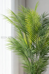 Areka Ağaci 24 Yapraklı 130 Cm Küre Saksıda