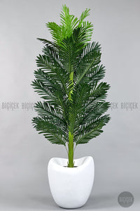 Yapay Areka Ağaci 180 Cm Lale Saksıda Tek Gövdeli - Beyaz