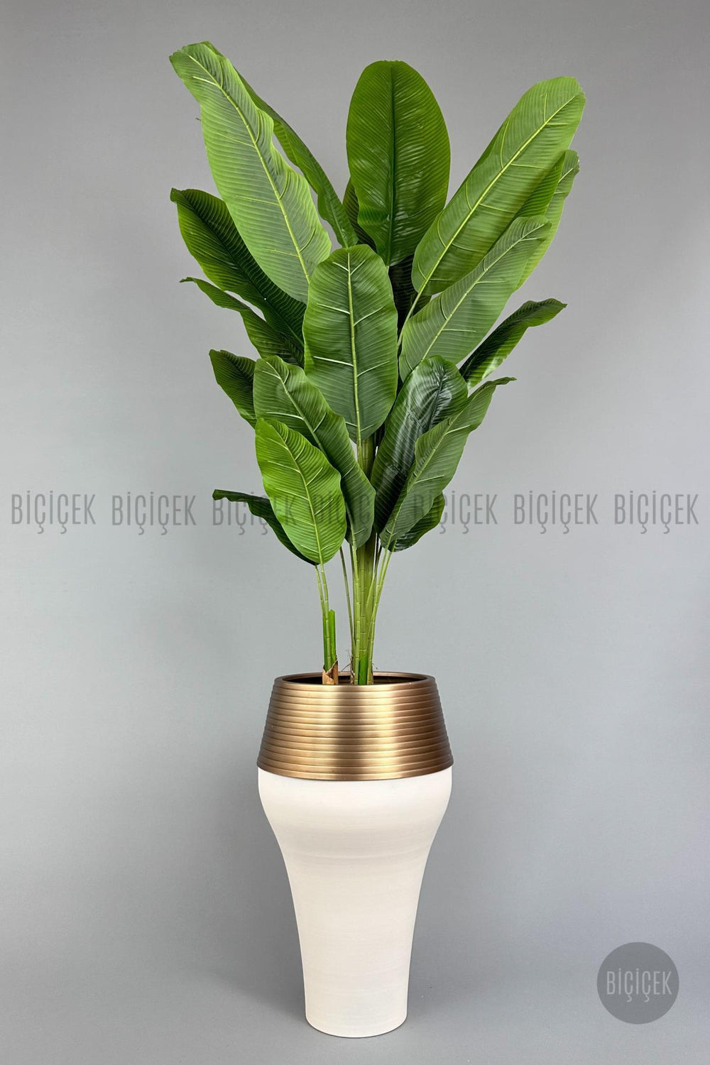 Yapay Starlice 230 Cm Bambu Gövdeli 22 Yapraklı Cleopatra Saksıda - Krem Gold