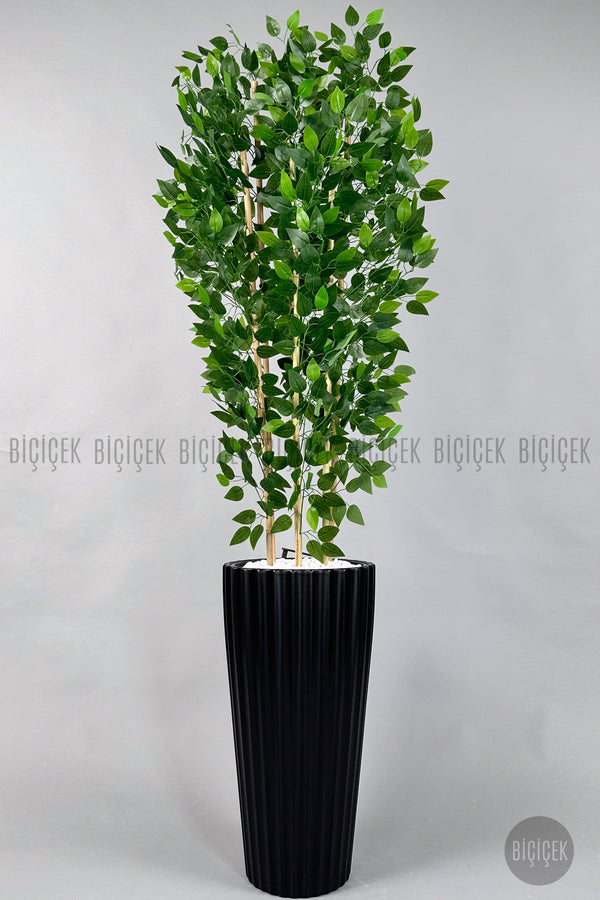 Yapay Benjamin Ağacı 6 Dallı Yoğun Yapraklı 220 Cm Siyah Lilyum Saksıda