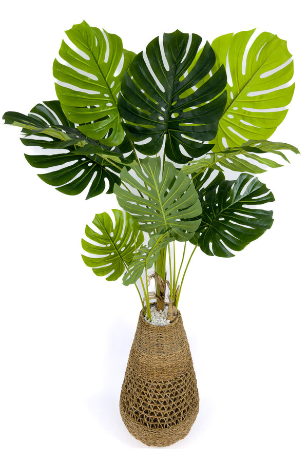 Yapay Monstera Ağacı Deve Tabani 180 Cm Bohem Saksıda