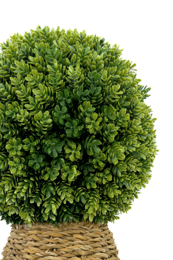 Simsir Topu 110 Cm Bohem Saksıda