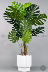 Yapay Monstera Ağacı Deve Tabani 160 Cm Vega Saksıda - Beyaz