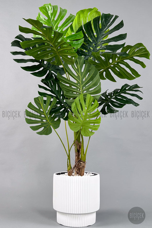 Yapay Monstera Ağacı Deve Tabani 160 Cm Vega Saksıda - Beyaz