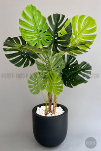 Yapay Monstera Ağacı Deve Tabani 180 Cm Antresit Çeşme Saksıda
