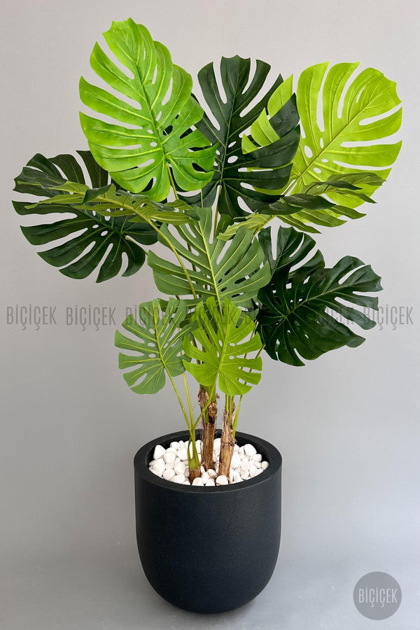 Yapay Monstera Ağacı Deve Tabani 180 Cm Antresit Çeşme Saksıda