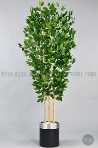 Yapay Benjamin Ağacı 170cm Metal Saksıda - Siyah Silver
