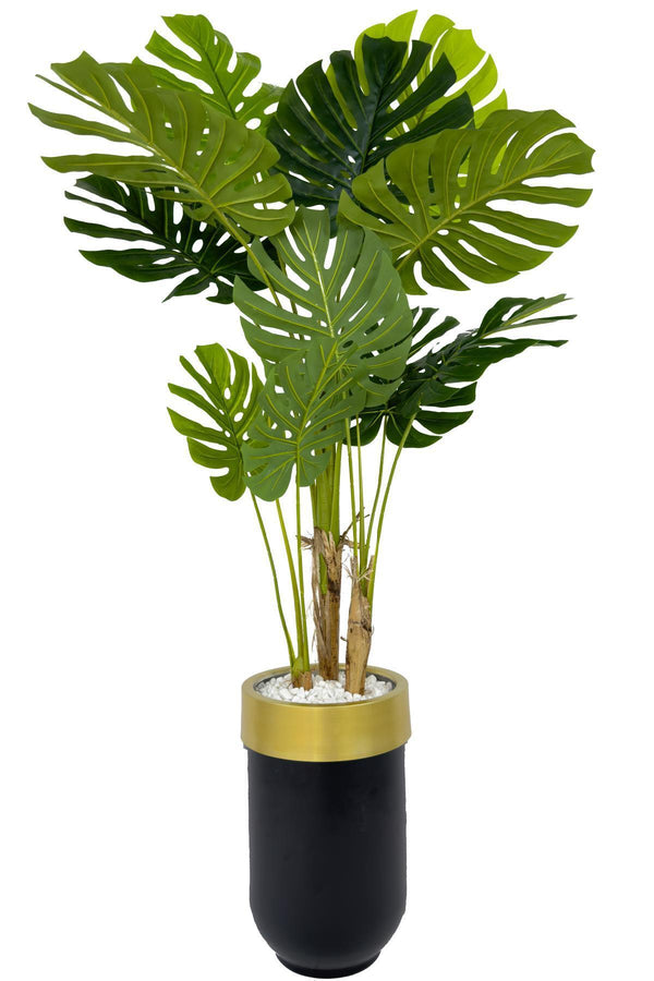 Yapay Monstera Ağacı Deve Tabani 170 Cm Darbuka Saksıda - Siyah Gold
