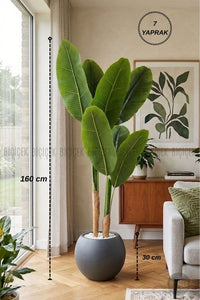 Yapay Starli̇ce 160 Cm 7 Yapraklı Antresi̇t Küre Saksıda