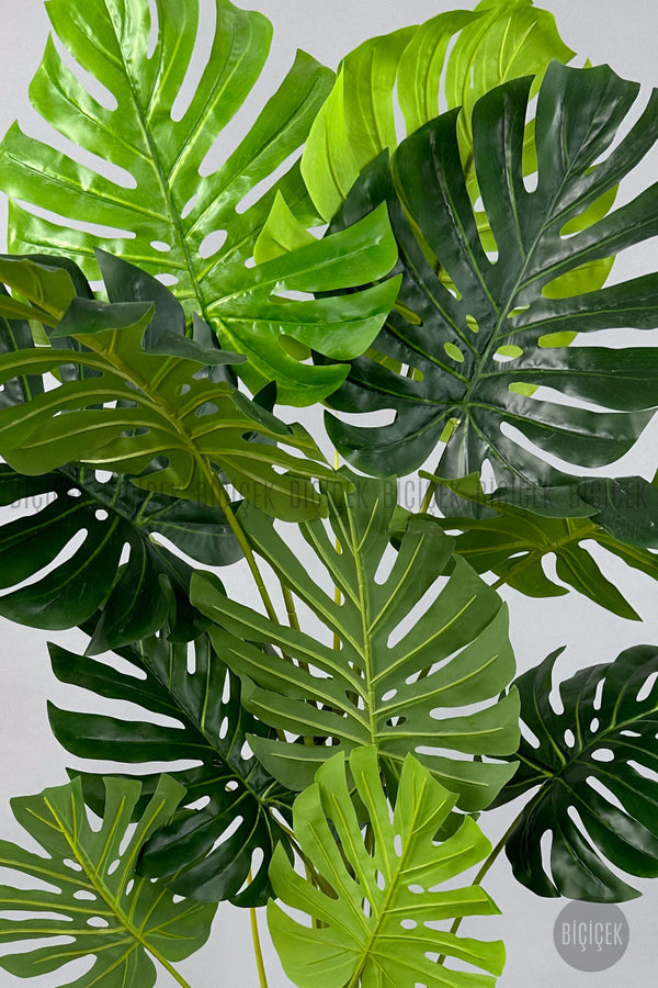 Yapay Monstera Ağacı Deve Tabani 160 Cm Si̇yah Vega Saksıda