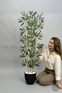 Bambu Ağaci 110 Cm 3 Gövdeli