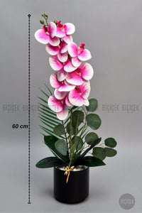 Yapay Phalaenopsis Pembe Orkide 60 Cm